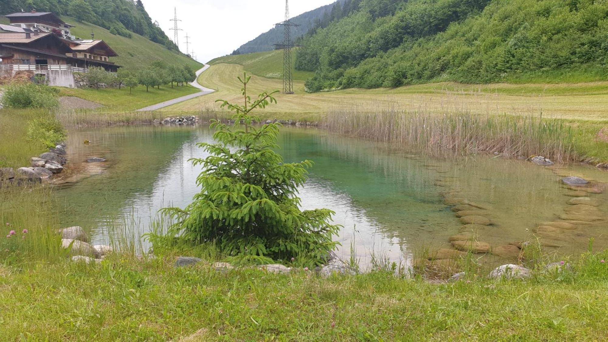 Appartementhaus Goldnugget Schwarzach im Pongau Eksteriør billede